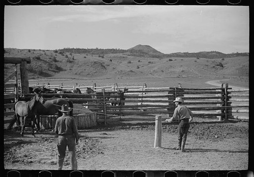 Big horn county montana - big,